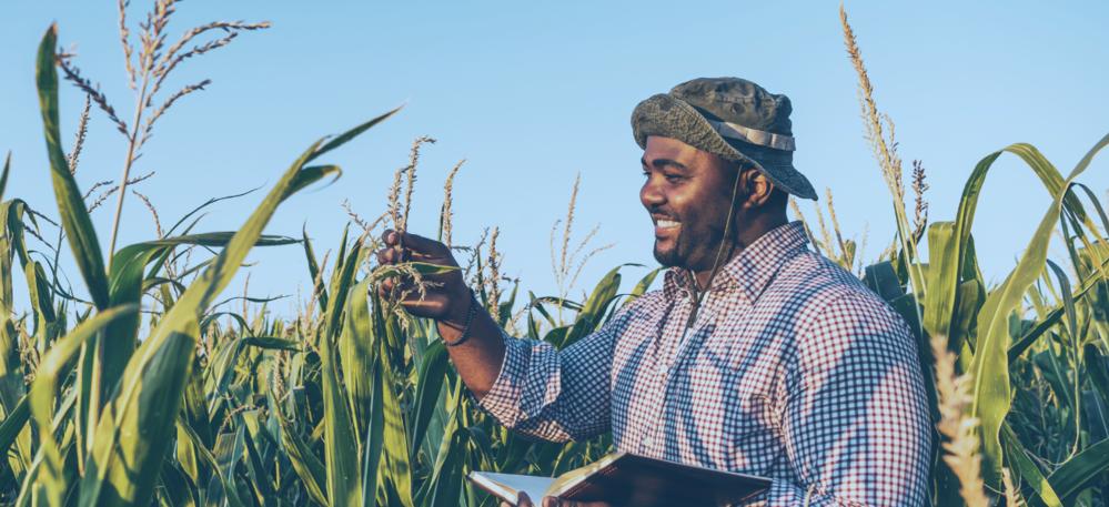 Expansão da Cooperação Brasil & Senegal: Foco em Defesa e Agricultura