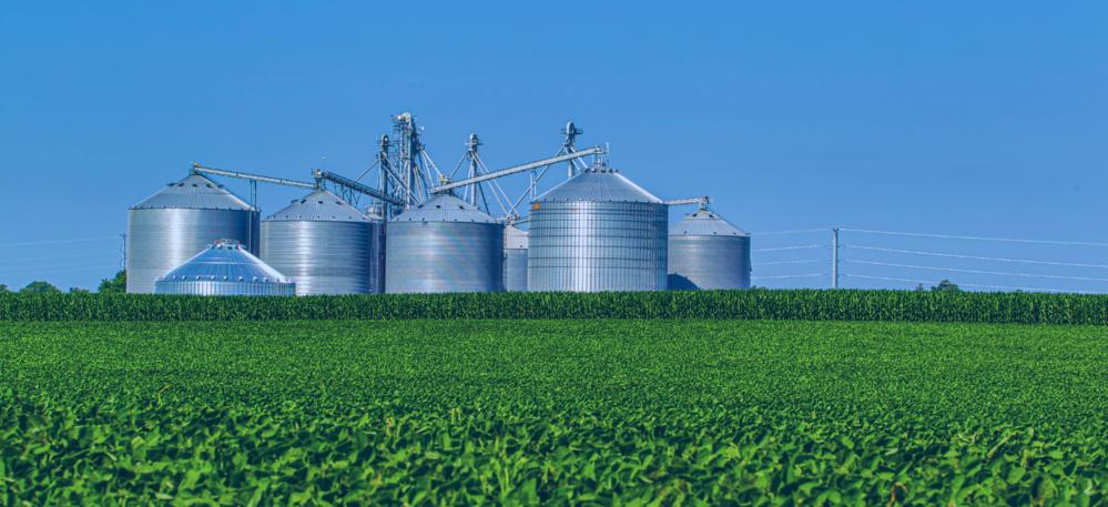 4 Investimentos em Agronegócio para o Primeiro Semestre deste Ano!