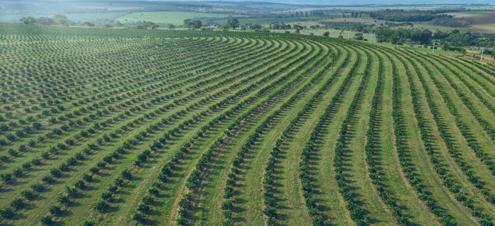 Ásia Domina Importações do Agronegócio Brasileiro
