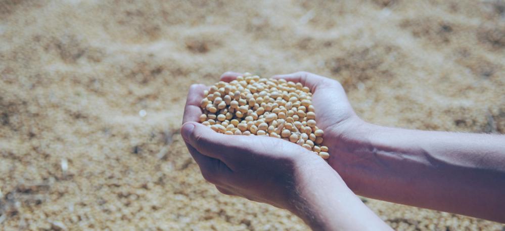 Agro-Sucesso: A Revolução Agrícola da África Ocidental.