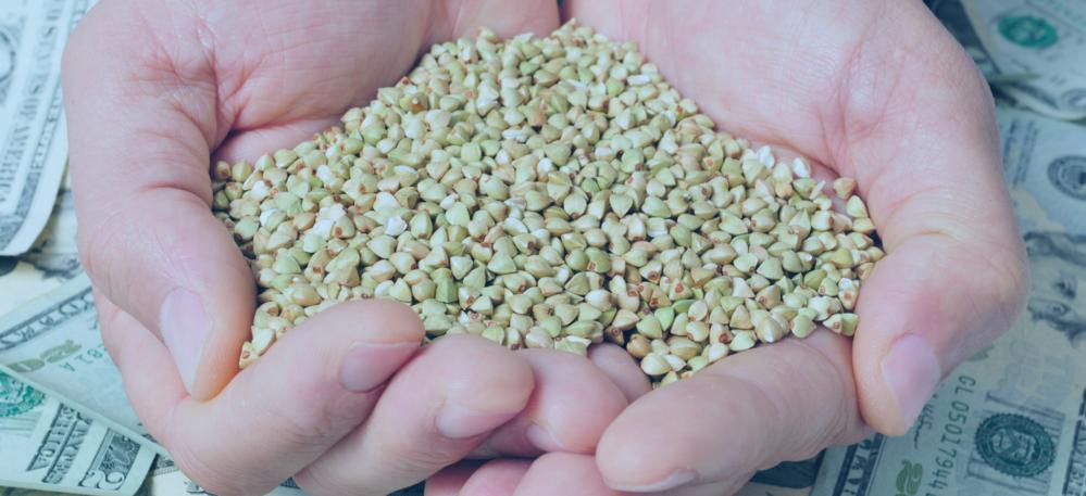 Emirados Árabes Unidos duplica importações do agronegócio brasileiro em 2023