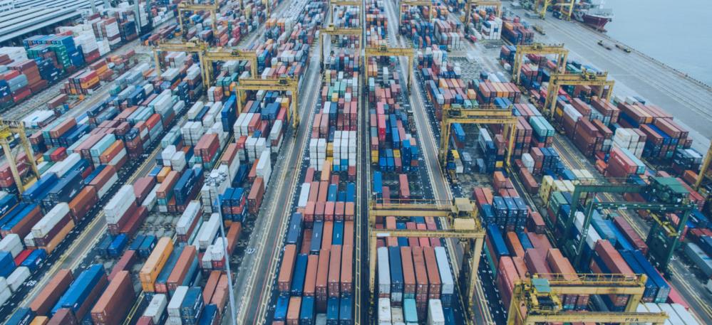 Catálogo de produtos na DUIMP: O que você precisa saber em 2023