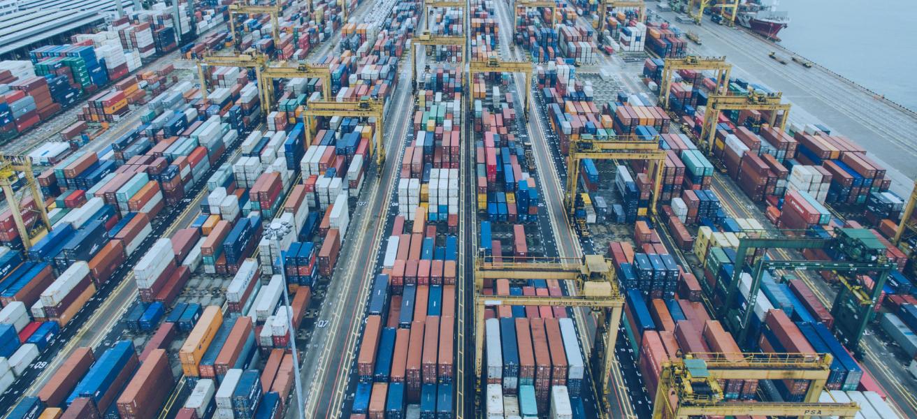 Catálogo de produtos na DUIMP: O que você precisa saber em 2023