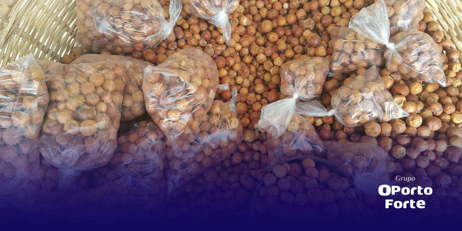 4 Oportunidades únicas de negócios no Senegal